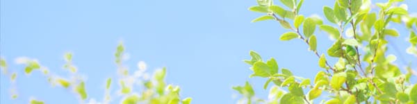 プライバシーポリシー